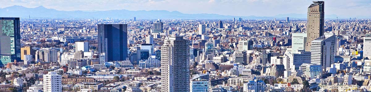 Estruturas resistentes a terramotos