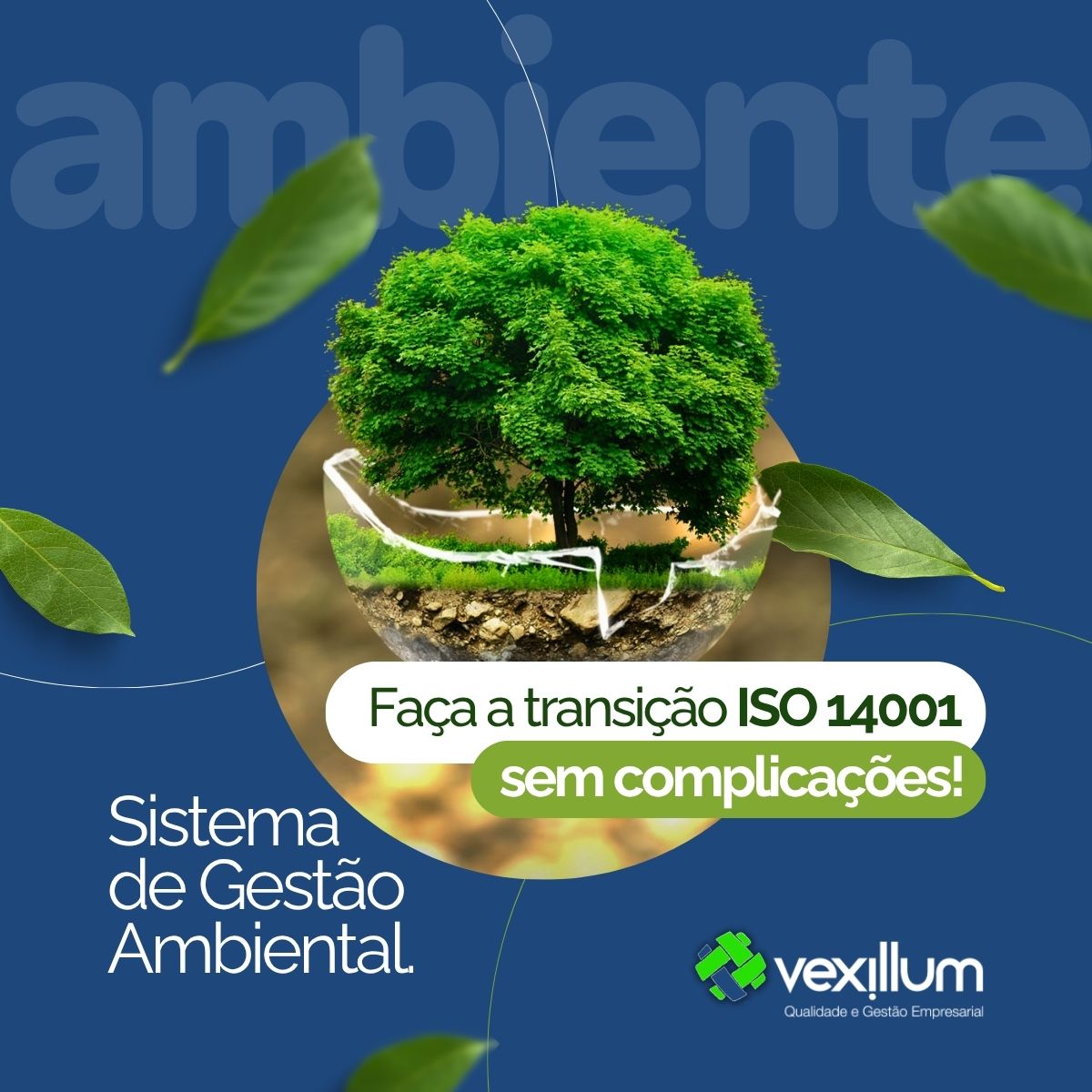 Transição ISO 14001 - Vexillum Promotional image for ISO 14001 transition and environmental management system, featuring a glass globe with a green tree, leaves, and the text 'Faça a transição ISO 14001 sem complicações!' against a blue background.